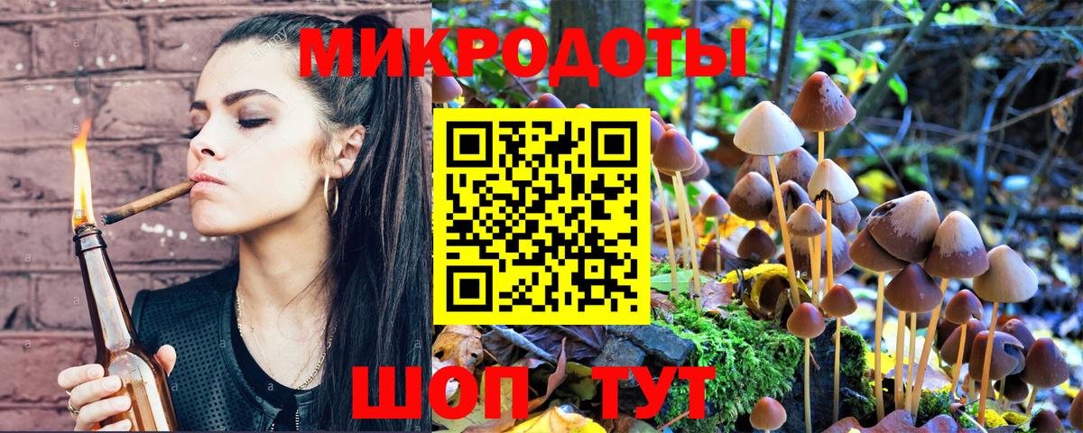 Муром  Псилоцибиновые грибы Magic Shrooms  Псилоцибиновые грибы мицелий  купить наркотики цена  Вход с VPN 